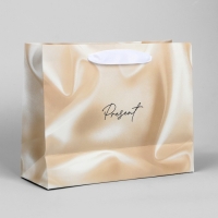 Пакет подарочный, упаковка, &laquo;Present&raquo;, 22 х 17.5 х 8 см