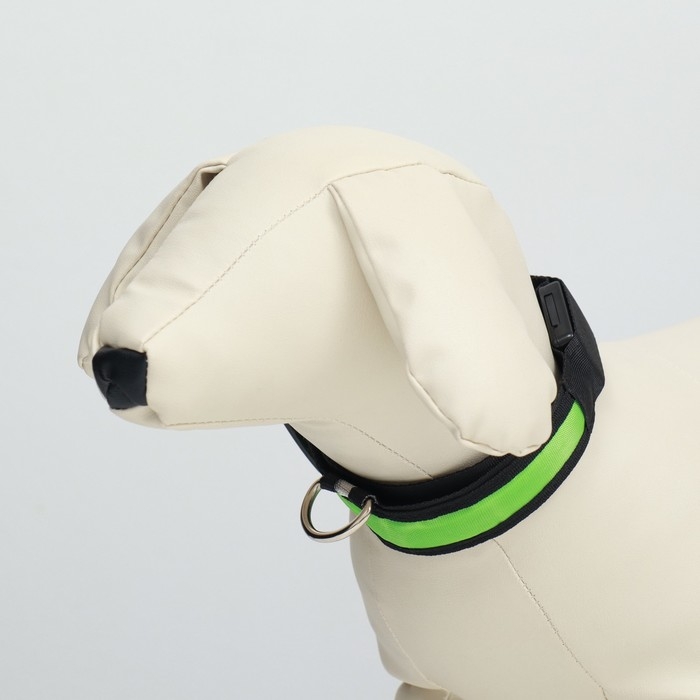 Ошейник с подсветкой Flash 3 режима свечения размер М, ОШ 40-48 х 2,5 см зелёный