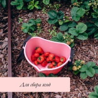 Ёмкость для сбора ягод, 3 л, розовая