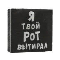 Салфетки бумажные однослойные Гармония цвета &laquo;Я твой рот вытирал&raquo;, 24х24 20 шт. уп