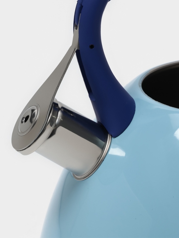 Чайник со свистком из нержавеющей стали Доляна &laquo;Свиристель&raquo;, 3 л, цвет голубой