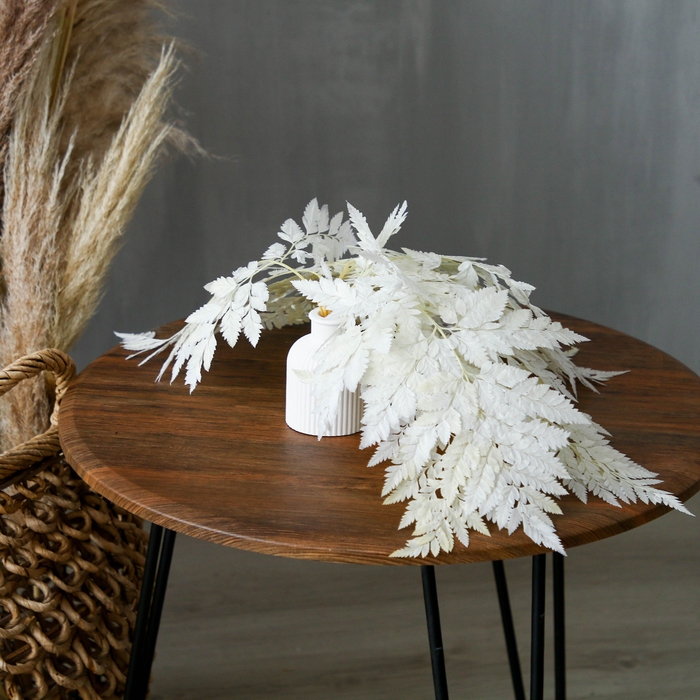 Сухоцвет &laquo;Папоротник&raquo;, белый, 10 шт. в упаковке