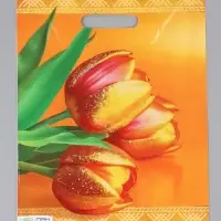 Пакет "Желтые тюльпаны, полиэтиленовый с вырубной ручкой 30х40 см, 60 мкм