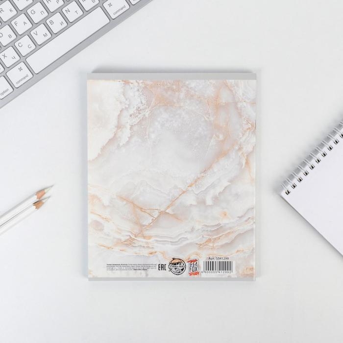 Тетрадь предметная 48 листов, А5, МРАМОР, со справ. мат. &laquo;1 сентября: Физика&raquo;, обложка мелованный картон 230 гр внутренний блок в клетку белизна 96%