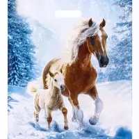 Пакет подарочный, новогодний &laquo;Дуэт&raquo;, полиэтиленовый с вырубной ручкой, л 45&times;38 см, 60 мкм