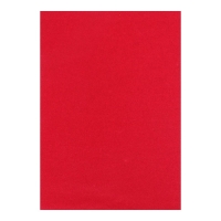 Бумага цветная бархатная А5, 10 листов, 10 цветов Мульти-Пульти, в папке