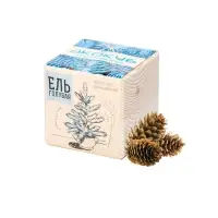 Набор для выращивания &laquo;Экокуб&raquo;, ель голубая