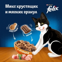 Сухой корм Felix "Двойная вкуснятина" для кошек, птица, 600 г