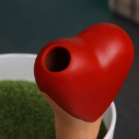 Ороситель &laquo;Сердечко&raquo;, 14&times;4.6см, цвет МИКС, набор 4 шт.