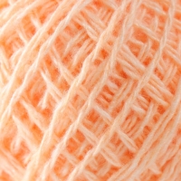 Пряжа "Акрил" 100% акрил, 100м/40&plusmn;5 гр (Персик)