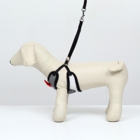 Комплект с мягкой шлейкой и бантиком , размер S, поводок 120 x 1,5 см, ОГ 23-42 см, серый