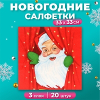 Новогодние салфетки бумажные Home Collection Сlassic &laquo;Новогоднее представление&raquo;, 3 слоя, 33х33 см, 20 шт