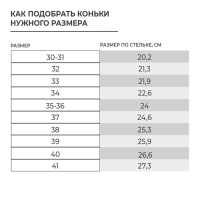 Коньки фигурные Winter Star &laquo;Узор&raquo;, р. 40