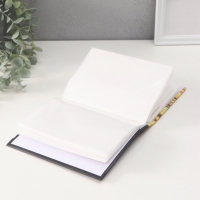 Фотоальбом на 96 фото 10х15 см "Лев и пламя" матовый с ламинацией 16,5х12х5,5 см