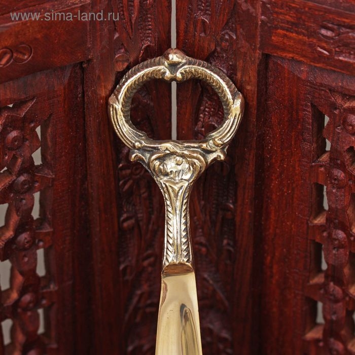 Ложка для обуви "Кольцо" латунь 25х5х1 см