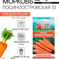 Семена Морковь "Лосиноостровская 13", 2 г
