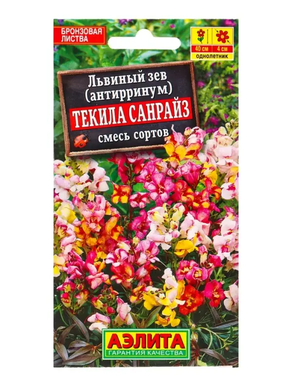 Семена цветов Львиный зев Текила санрайз, смесь окрасок , Ц/П,0,1 г