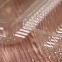 Контейнер одноразовый с неразъёмной крышкой ПР-К-27 &laquo;А&raquo;, пластик, 24&times;12.9&times;8.9 см, внутр. 21.3&times;9.9&times;7.8 см, прозрачный