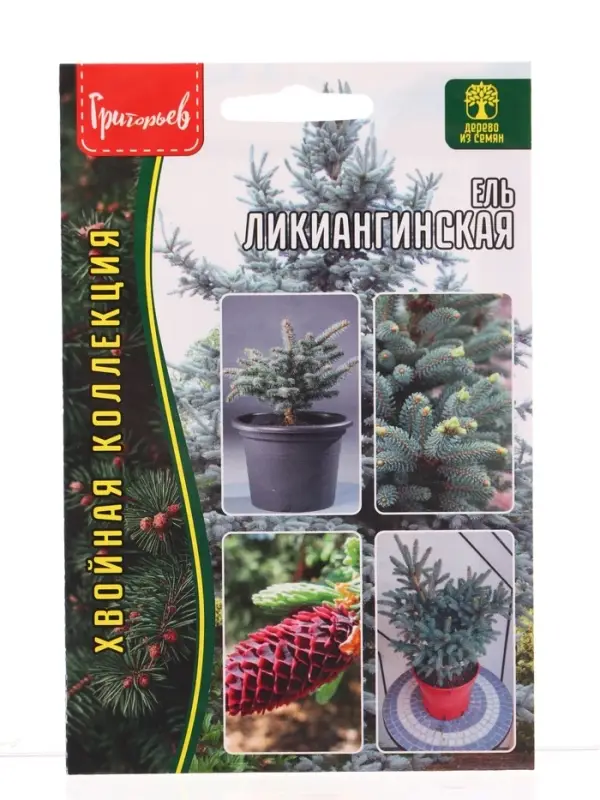 Семена цветов Ель Ликиангинская  15шт.  12.29 г.