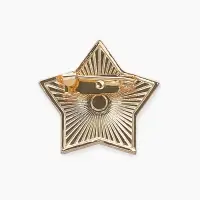 Значок &laquo;Звезда Серп и молот&raquo;, 2.5 см, цвет красный в золоте