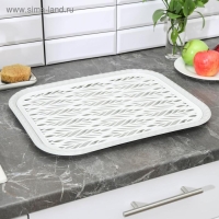 Поднос с вкладышем для сушки посуды &laquo;Колос&raquo;, 45,5&times;36 см, цвет МИКС