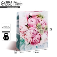 Пакет подарочный ламинированный вертикальный, упаковка, &laquo;Радости!&raquo;, ML 23 х 27 х 11,5 см