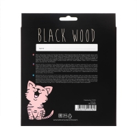 Карандаши 24 цвета BlackWoodColor, пластиковые, трёхгранные, МИКС