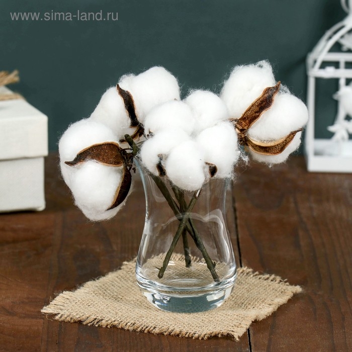 Декор сухоцвет &laquo;Хлопок&raquo;, h=8 см, d=5 см