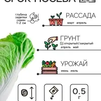 Семена Капуста пекинская "Бокал", 0,5 г