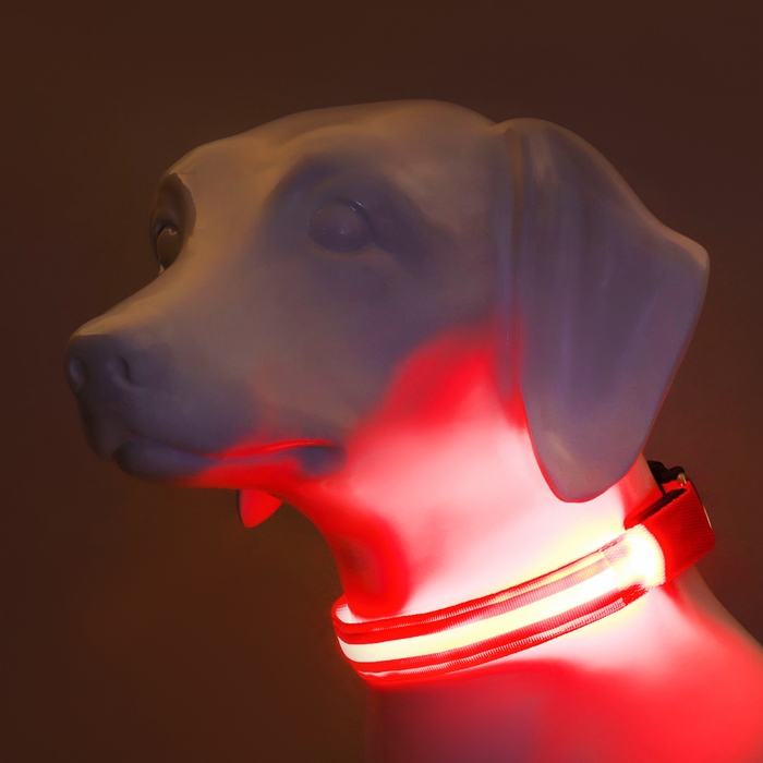 Ошейник с подсветкой Двойная полоса размер XL, ОШ 52-60 х 2,5 см, 3 режима свечения красный 97722