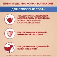 Сухой корм Purina One medium/maxi для взрослых собак, курица/рис, 10 кг