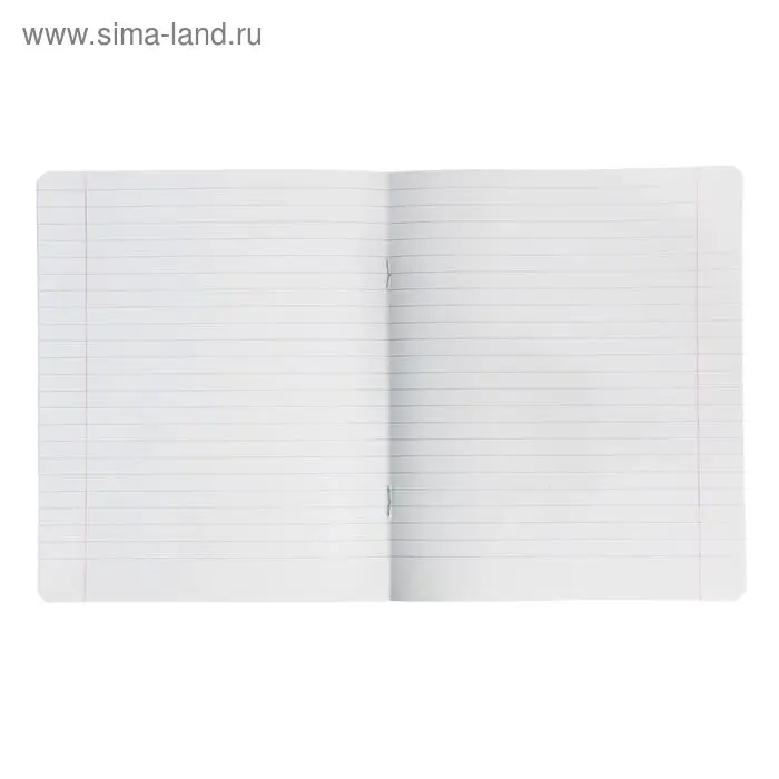 Тетрадь 12 листов в линейку &laquo;Великолепная пятёрка&raquo;, бумажная обложка, МИКС