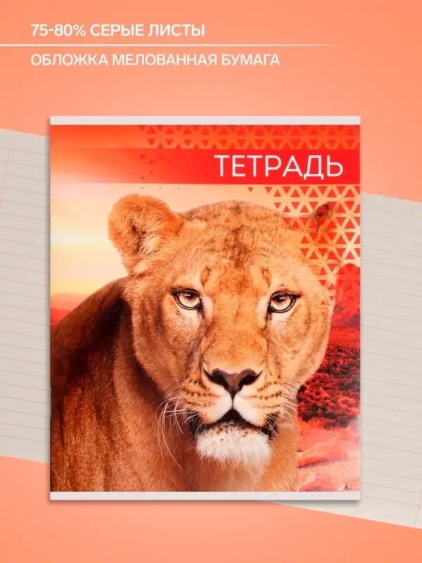 Тетрадь 48 листов в линейку Calligrata &laquo;Дикие кошки&raquo;, обложка мелованная бумага, блок №2, МИКС