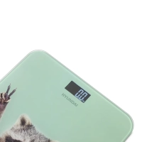 Весы напольные H-BS03589