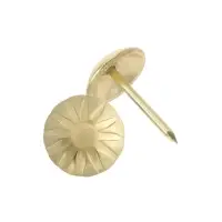 Гвозди ТУНДРА, декоративные, обивочные, фактурные, 11&times;16 мм, золото, фасовка 50 шт.