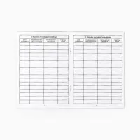 Прививочный сертификат А6, 24 стр "Холодное сердце"