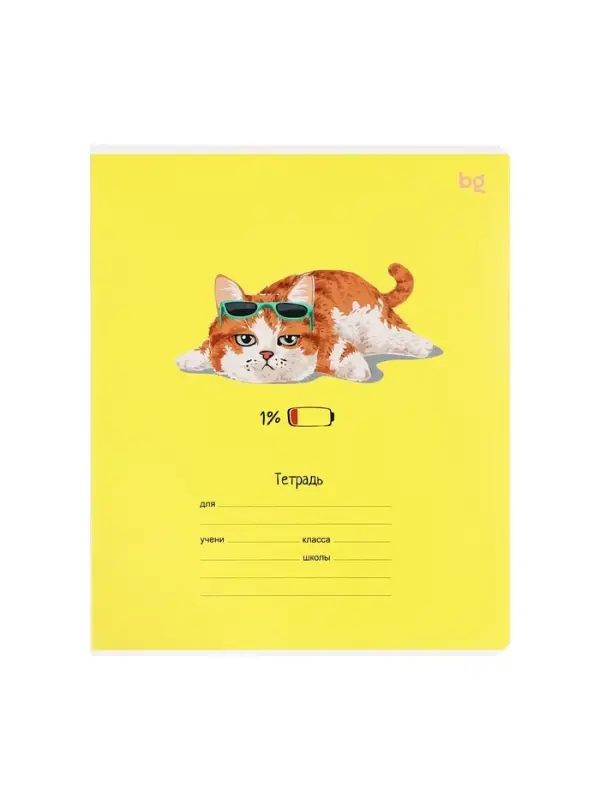 Тетрадь 12 листов в клетку &laquo;Кошечки&raquo;, МИКС