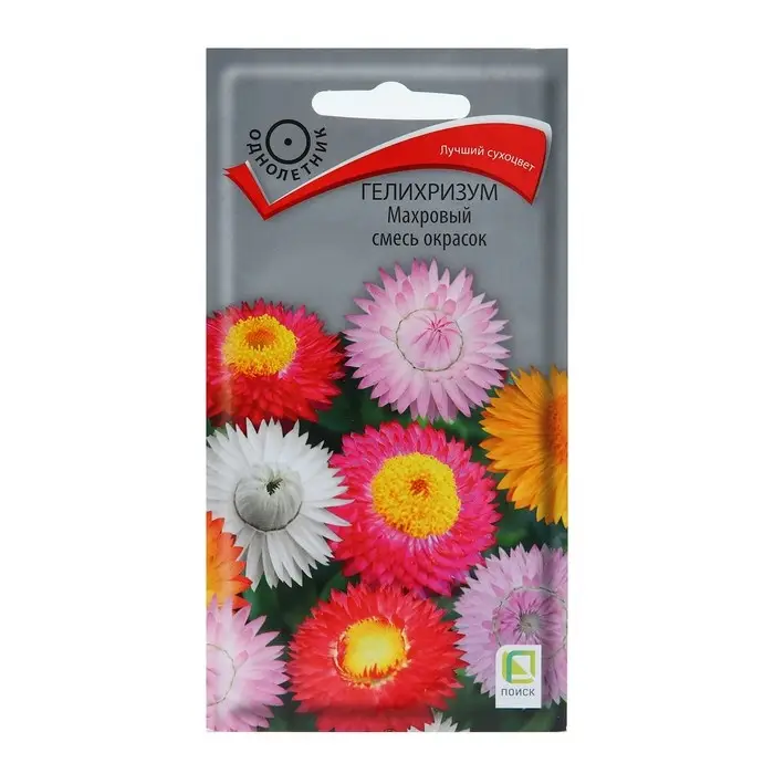 Семена цветов Гелихризум Семена цветов Гелихризум "Махровый смесь окрасок" 0,25 г