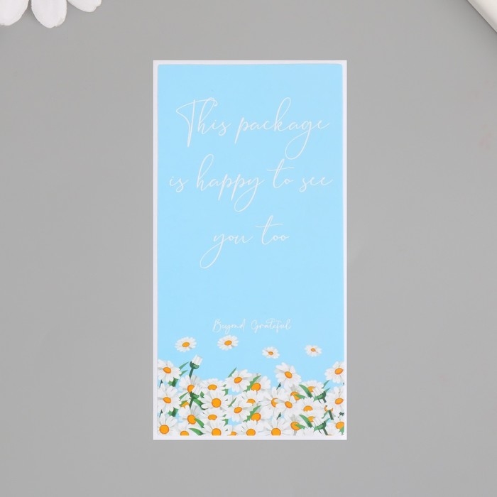 Наклейка бумага благодарность Наклейка бумага благодарность "Ромашки и небо" набор 50 шт 10х5 см
