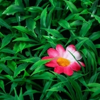 Декоративная панель, 60 &times; 40 см, &laquo;Трава с цветами&raquo;, Greengo