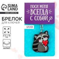 Брелок для ключей акриловый &laquo;Енот&raquo;, 3,5 х 10 см