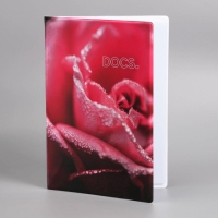 Папка для семейных документов &laquo;Docs&raquo;, 8 файлов А4