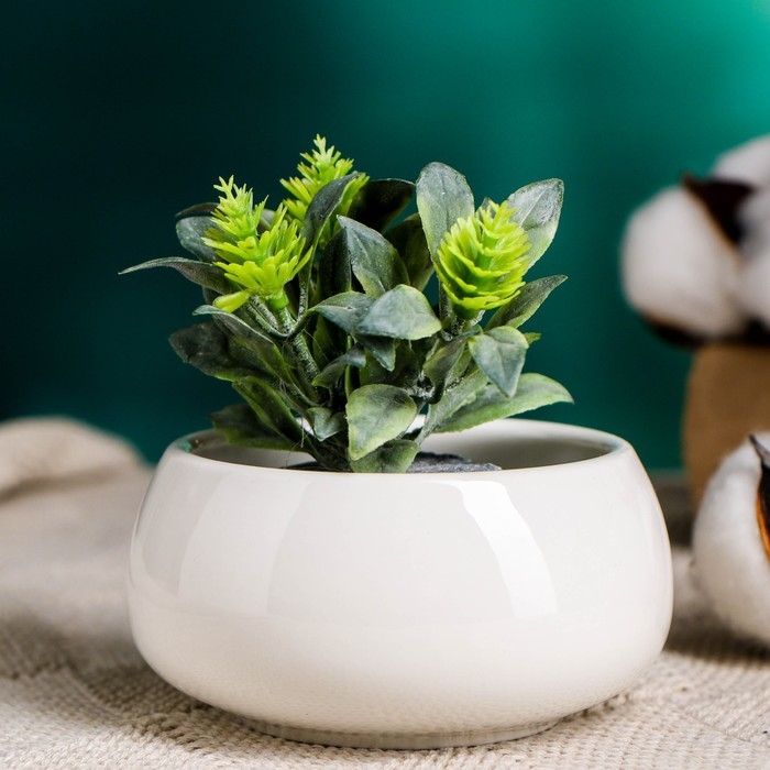 Горшок "Лайт Бонсай мини" для кактусов и суккулентов, 8х4см, белый