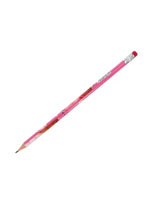 Карандаш чернографитный, ErichKrause CapyBarbara, круглый, с ластиком, НВ, дизайн, пластик