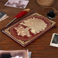 Родословная книга в шкатулке &laquo;Древо&raquo;, 56 листов, набор 3 предмета.