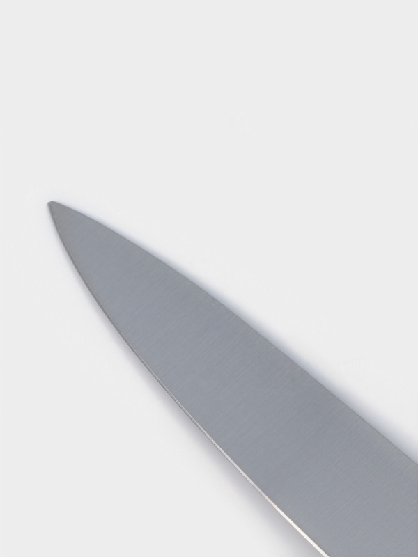 Нож кухонный Доляна Venus, разделочный, лезвие 21 см, нержавеющая сталь, красный