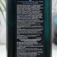 Шампунь мужской для мытья волос, тела и бороды Vilsen, 500 мл