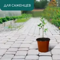 Горшок для рассады, 1,1 л, d = 14 см, h = 12 см, мягкий пластик, терракот, Greengo