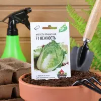 Семена Капуста пекинская "Нежность" F1, ц/п, 0,1 г  серия ХИТ х3