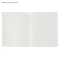 Тетрадь 48 листов в линейку Calligrata &laquo;Мегаполис&raquo;, обложка мелованная бумага, блок №2, белизна 75% (серые листы), МИКС